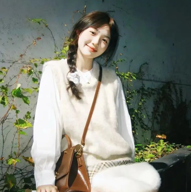 昭昭明月映孤舟